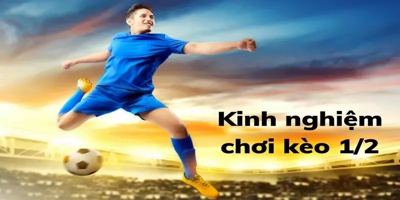 Cá Cược Bóng Đá Cùng NEW88.BLUE Tại Kèo Nhà Cái 8 Kinh nghiệm chơi kèo chấp 0.5 trái